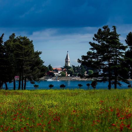 Belvedere Holidays Villas Novigrad  Екстер'єр фото